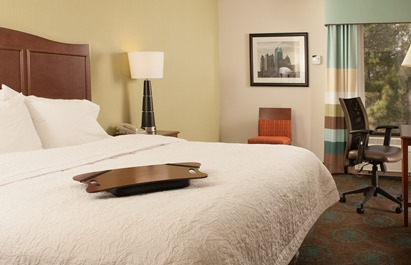 Hotel Hampton Atlanta-north Druid Hills