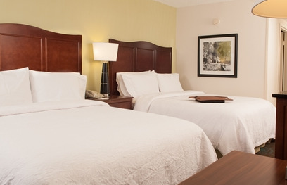Hampton Atlanta-north Druid Hills 3* Atlanta